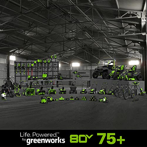 Greenworks PRO 80V 42” Electric Zero Turn Lawn Mower, Includes (6) 5.0Ah Batteries and (3) Dual Port Turbo Chargers